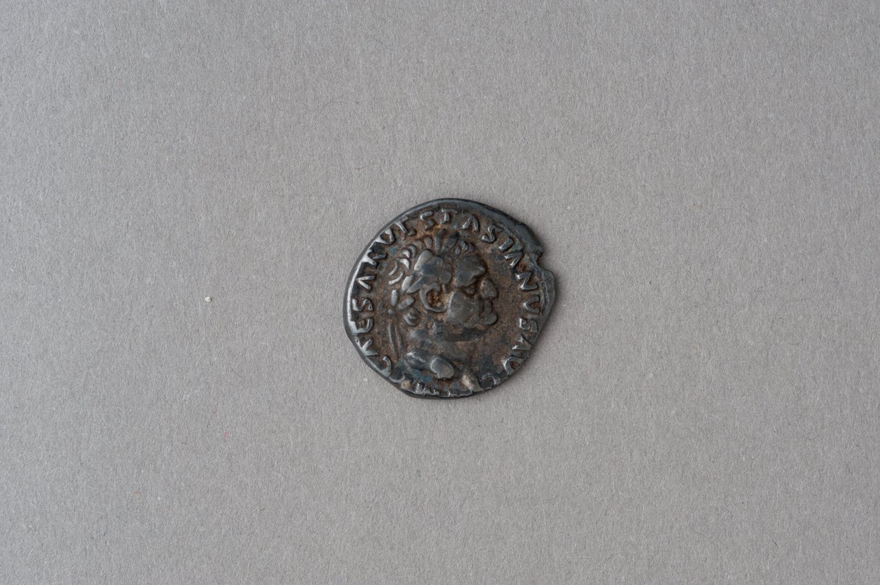 Denarius av Vespasianus (silver) av Roman