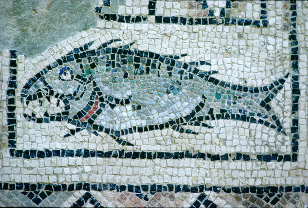 Fisk på ett romerskt golv (mosaik) av Roman