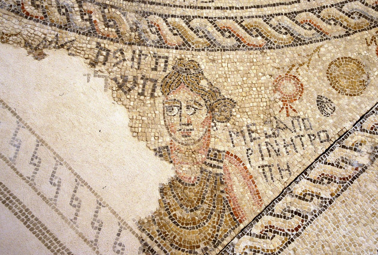 Sepphoris mosaik, Tzippori (mosaik) av Roman