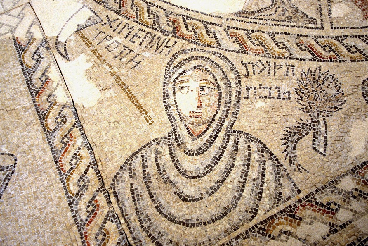 Sepphoris mosaik, Tzippori (mosaik) av Roman