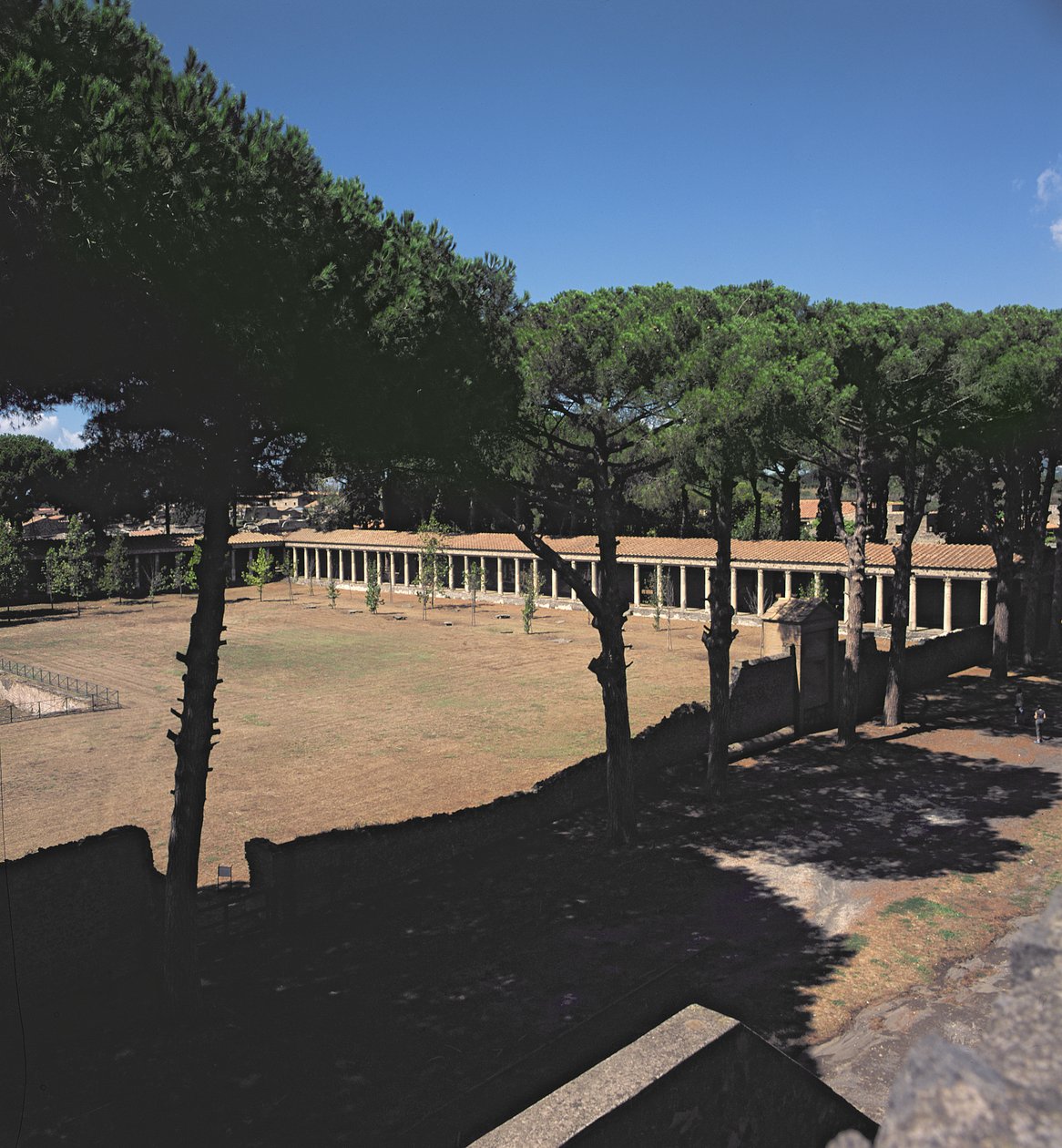 Den stora Palaestra av Roman