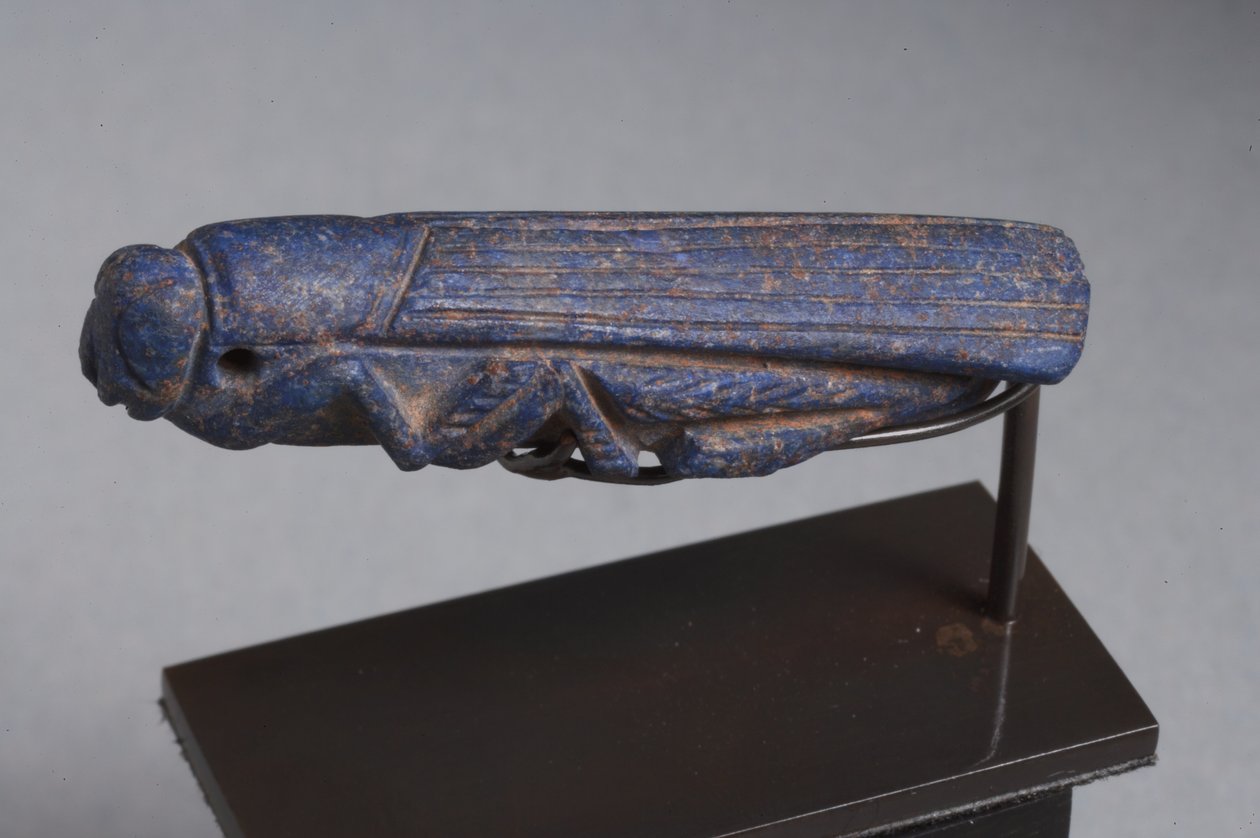 Nära österländska amulett av en gräshoppa (lapis lazuli) av Roman Imperial Period