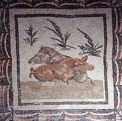 Vildsvin (mosaik) av Roman Roman