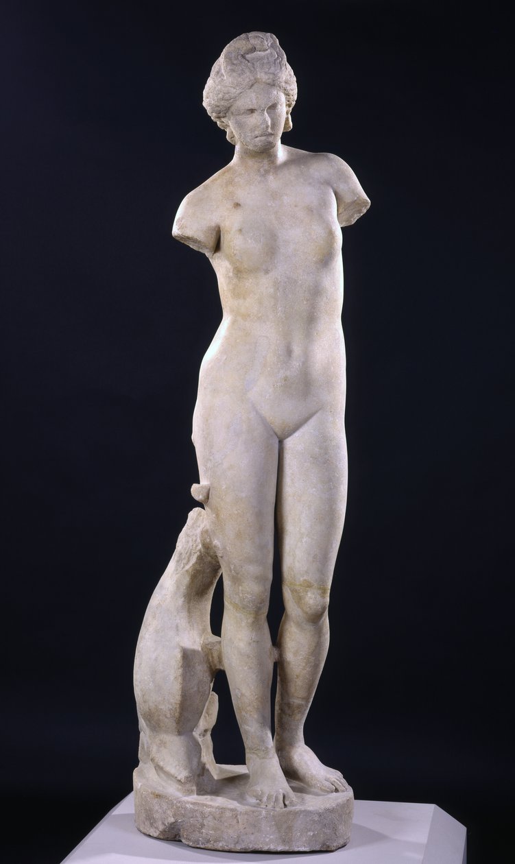 Afrodite av Cyrene av Roman