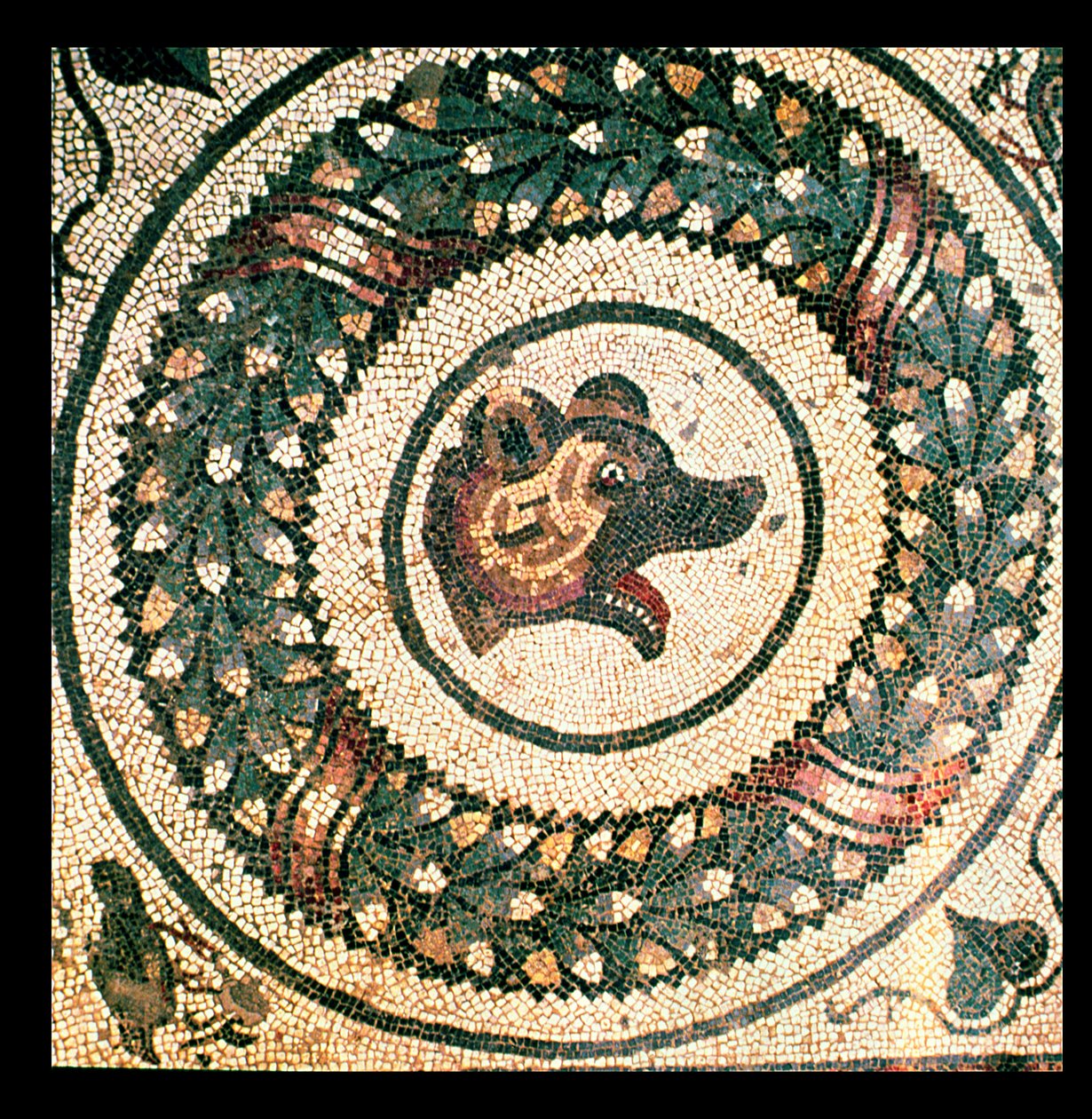 Björnens huvud, romersk mosaik, tidigt 400-tal (mosaik) av Roman