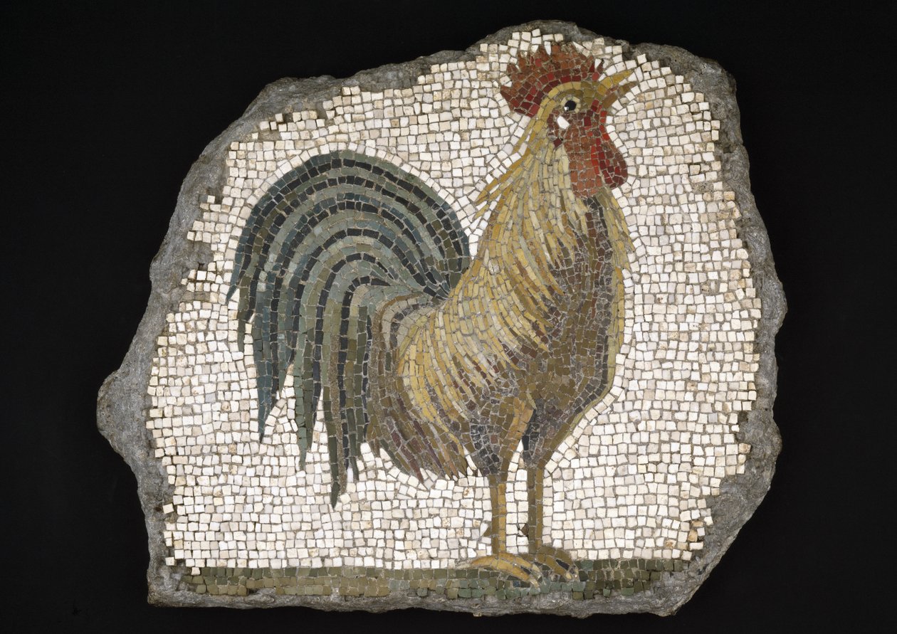 Tupp (mosaik) av Roman