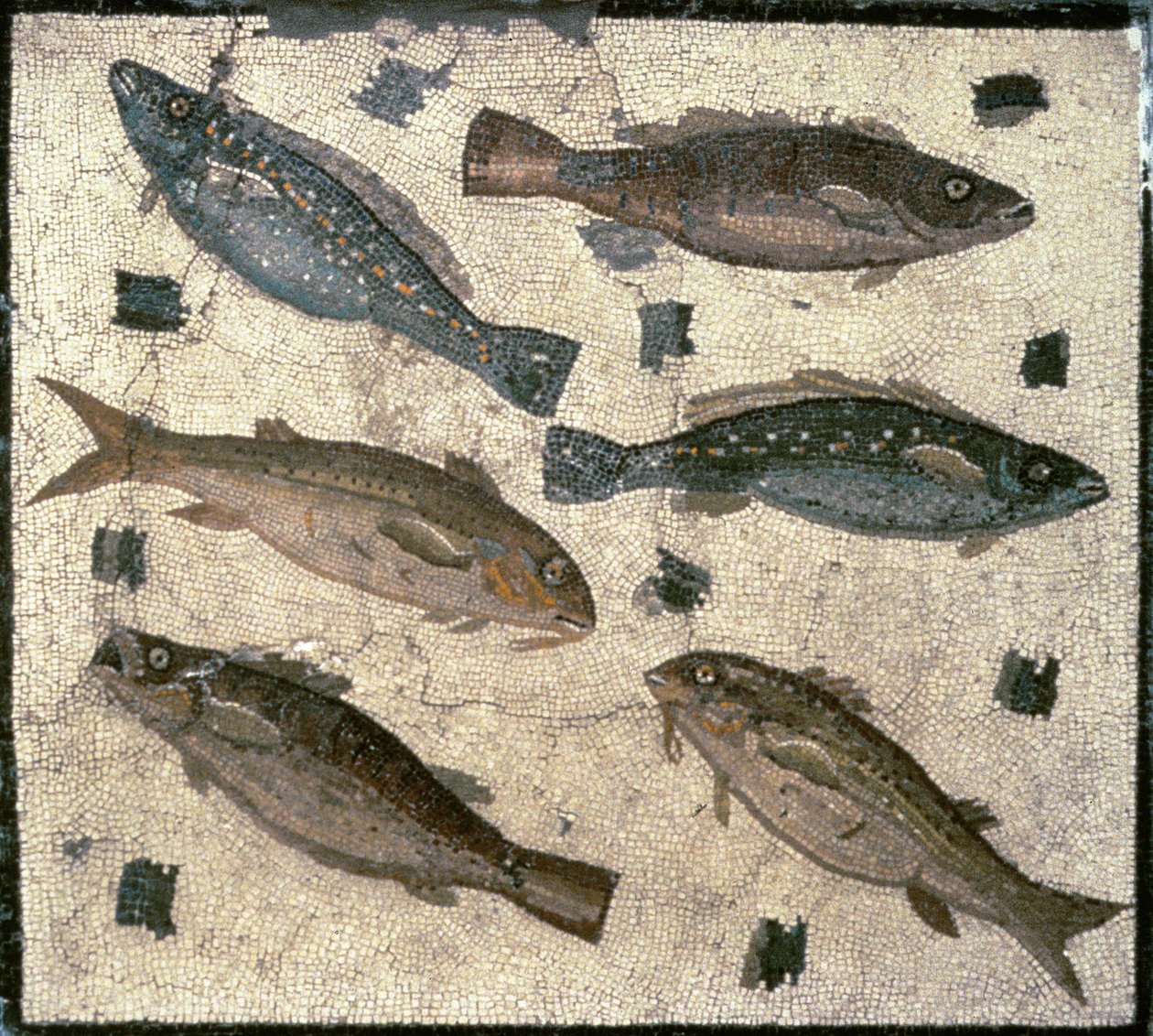 Fisk (mosaik) av Roman