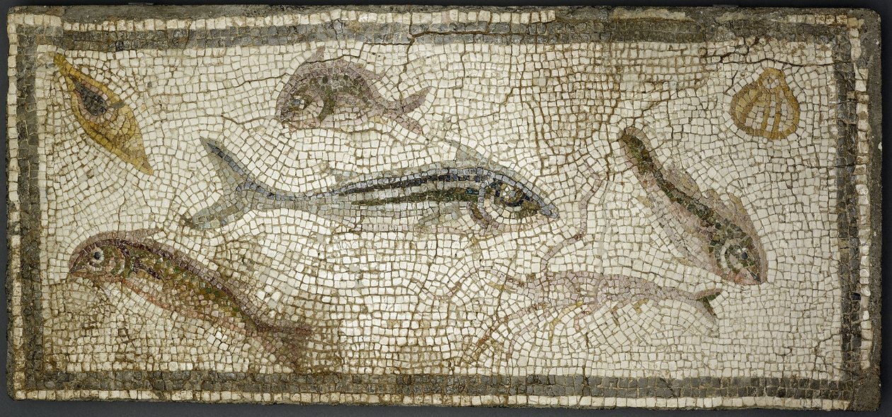 Mosaikpanel som visar fiskar, förmodligen 300-talet e.Kr. av Roman