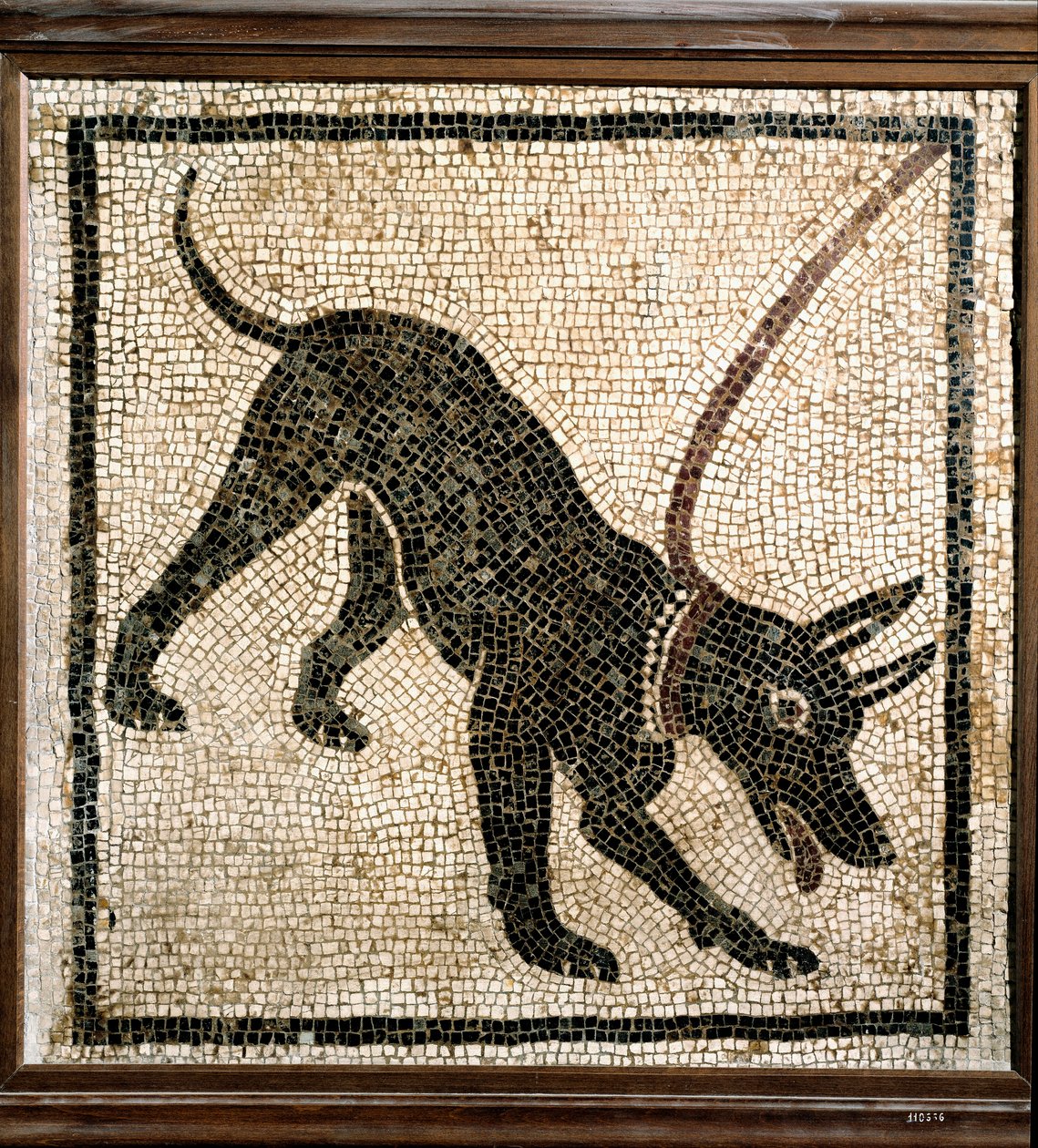 Romersk konst: "" canem cave"" av Roman