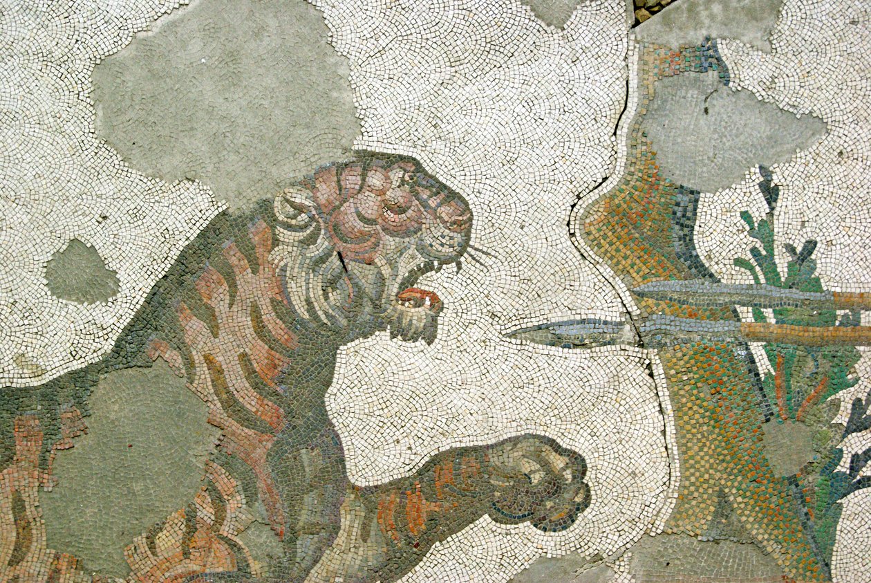 Okänd bild av Roman