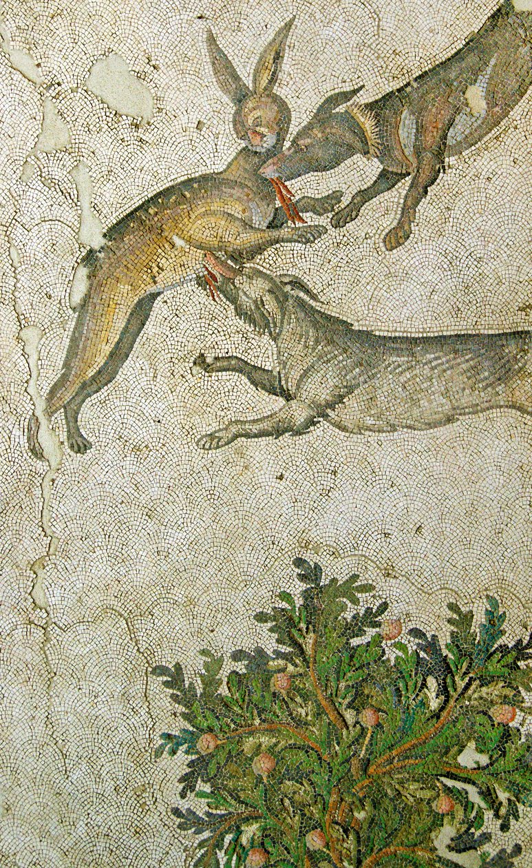 Okänd bild av Roman