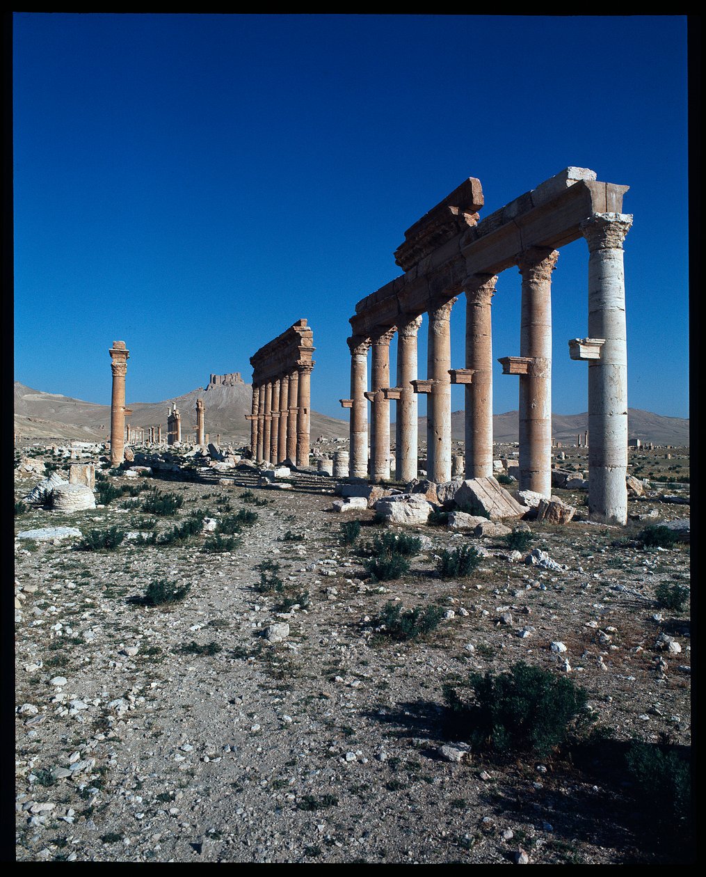 Utsikt över Palmyras lämningar (Foto) av Roman