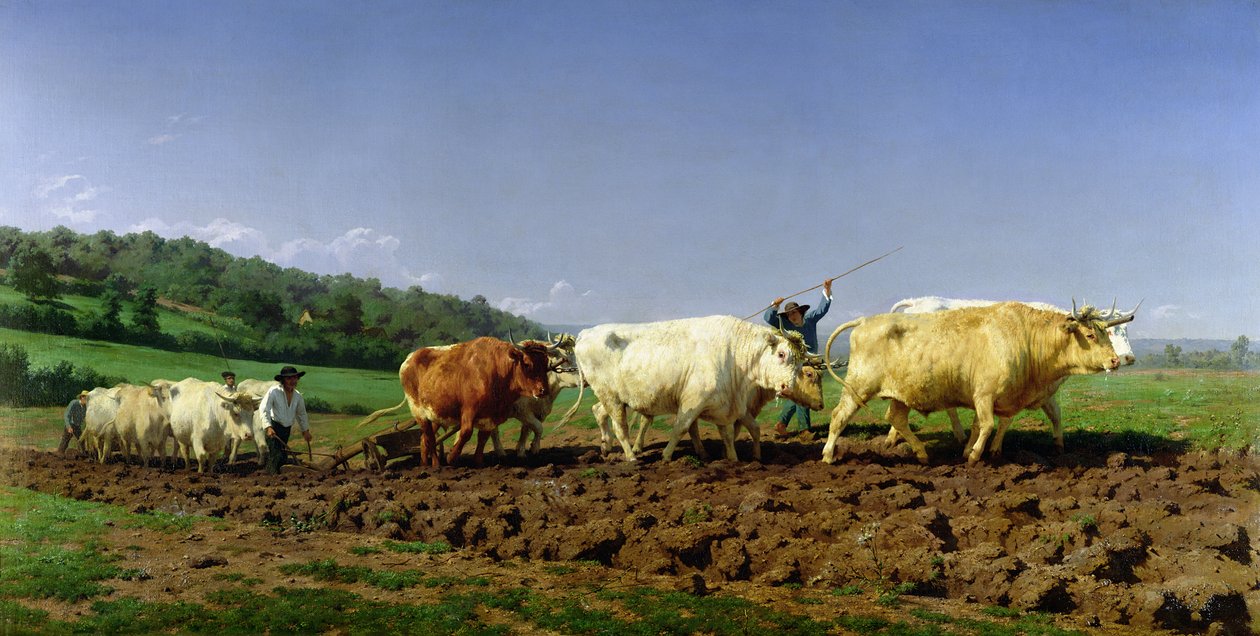 Plöjning i Nivernais, 1849 av Rosa Bonheur