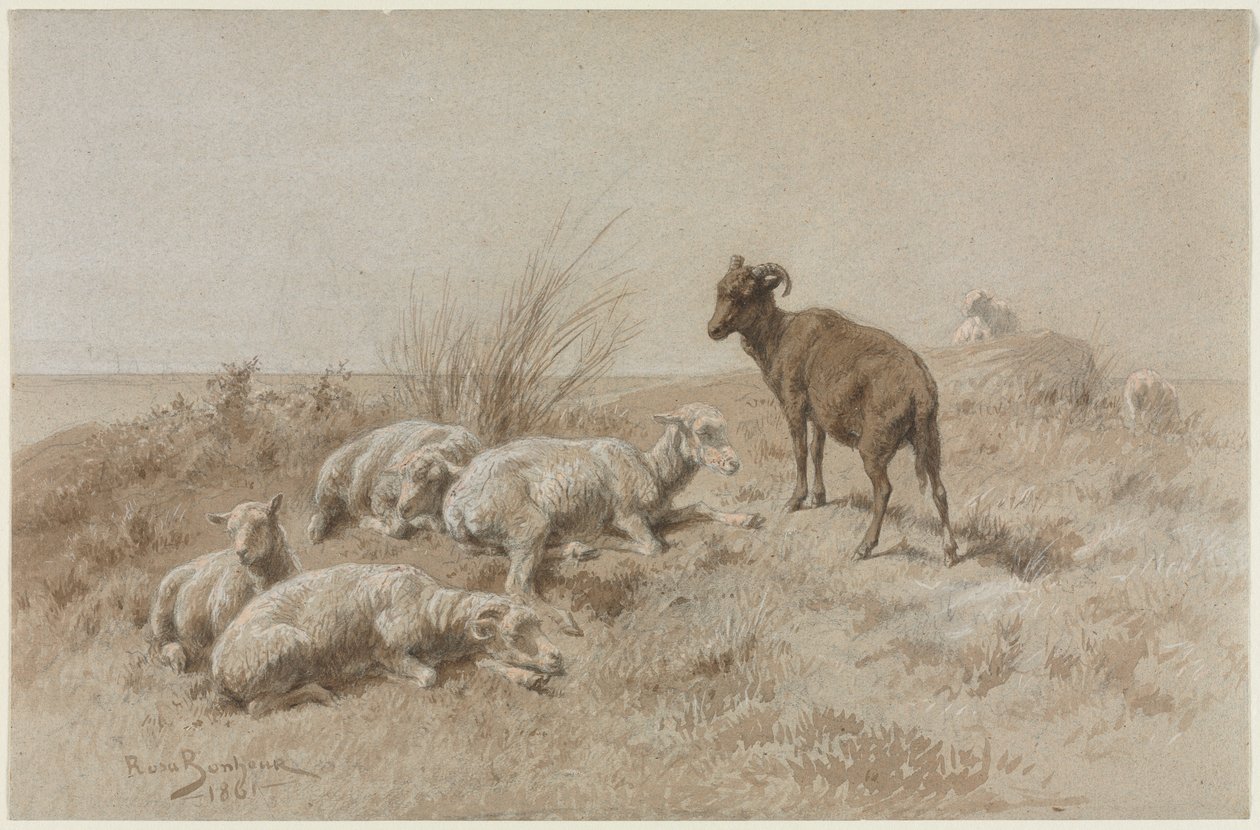 Får av Rosa Bonheur