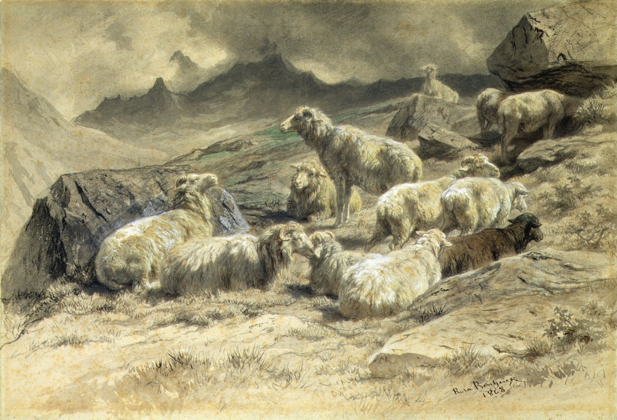Får av Rosa Bonheur