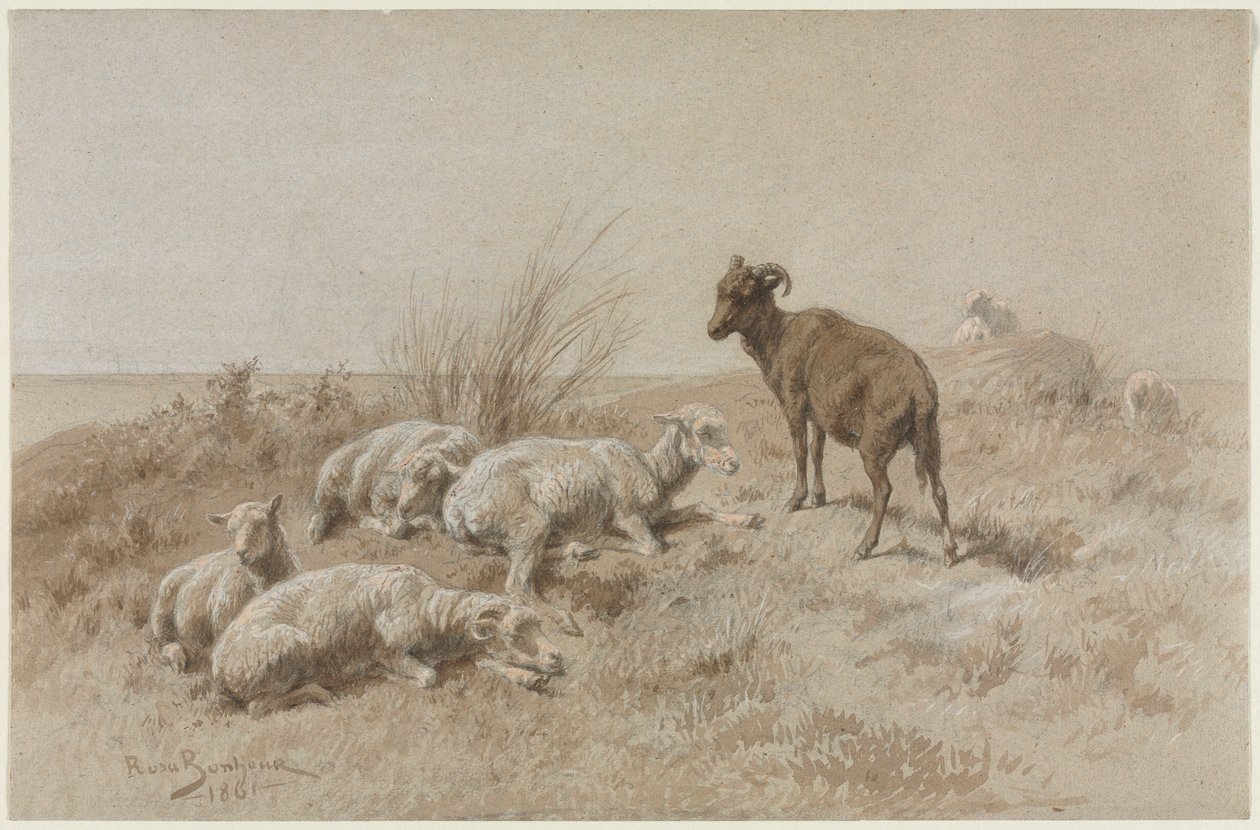 Får av Rosa Bonheur