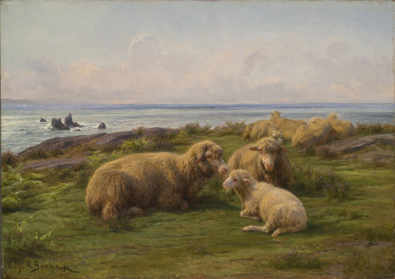 Får vid havet av Rosa Bonheur