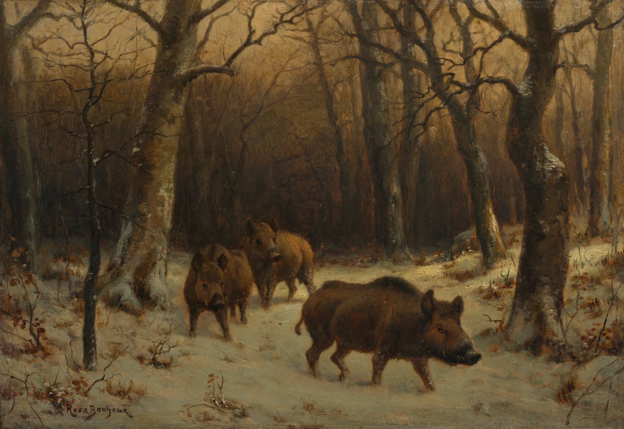Vildsvin i snön av Rosa Bonheur