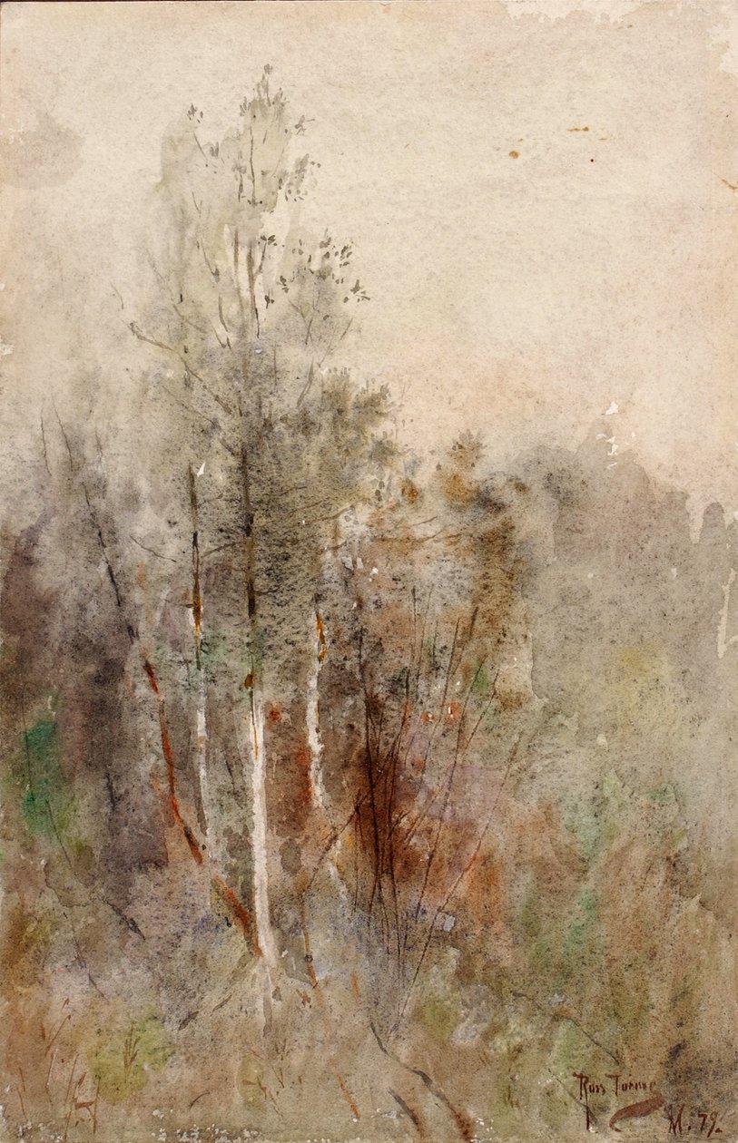 En trädstudie av Ross Turner
