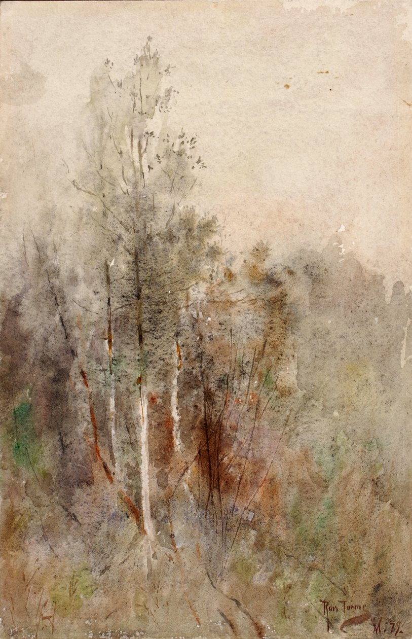 En trädstudie, 1879. av Ross Turner