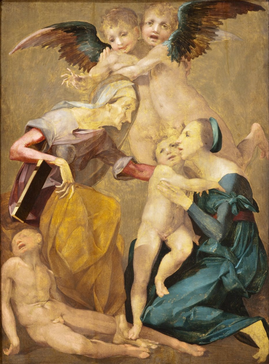 Allegory of Salvation with the Virgin and Christ Child, St Elizabeth, the Young St. John the Baptis ... av Rosso Fiorentino