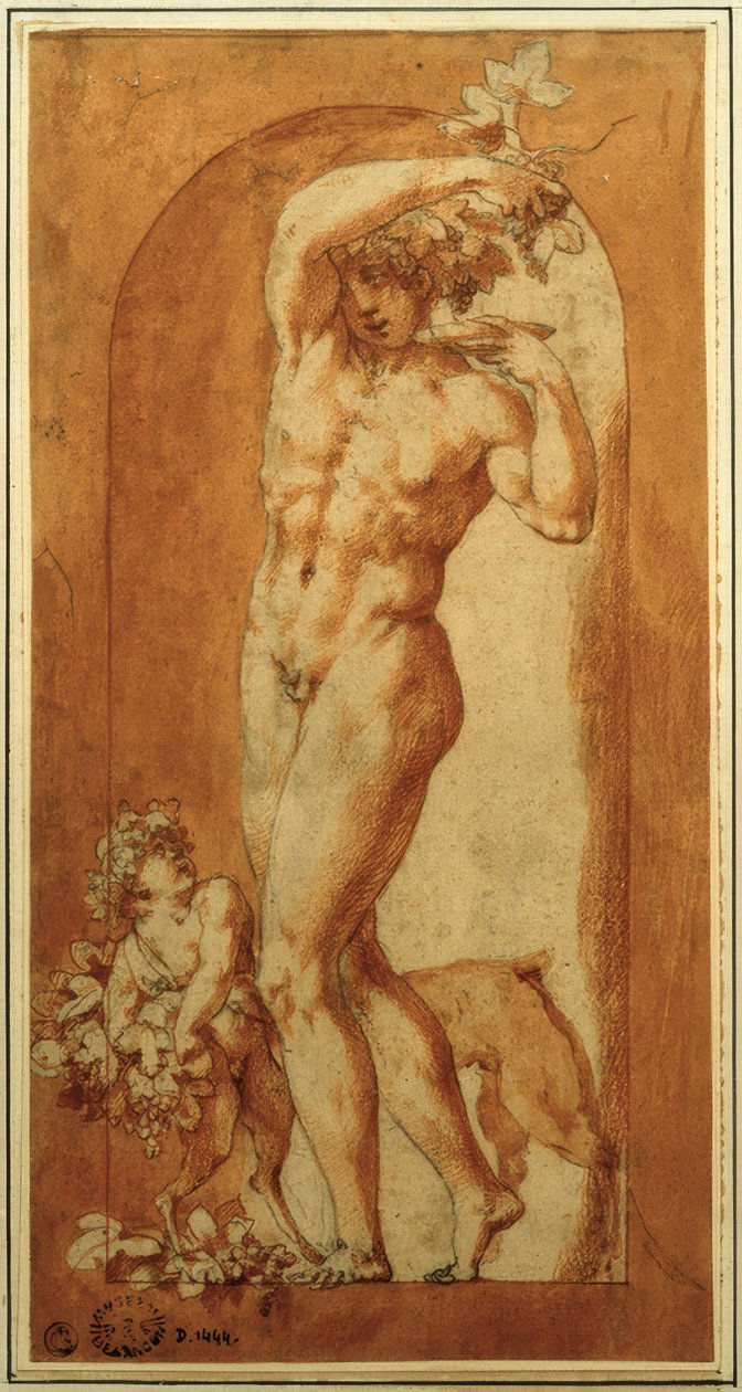 Bacchus i nisch av Rosso Fiorentino