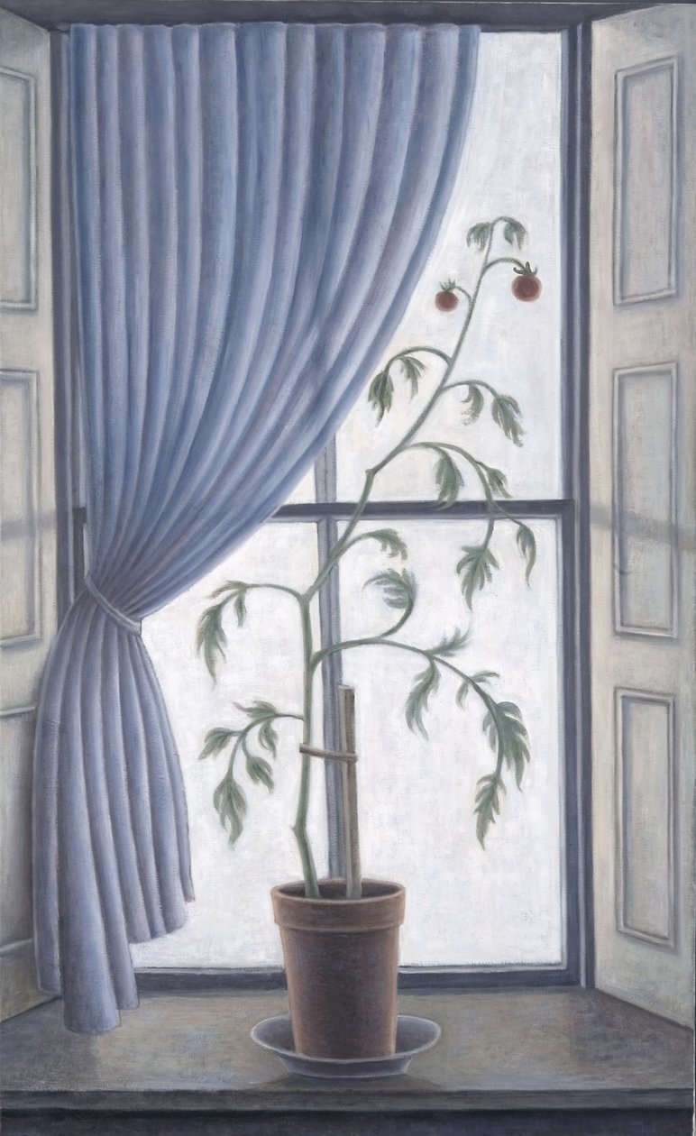 Växt i fönstret, 2003 av Ruth Addinall