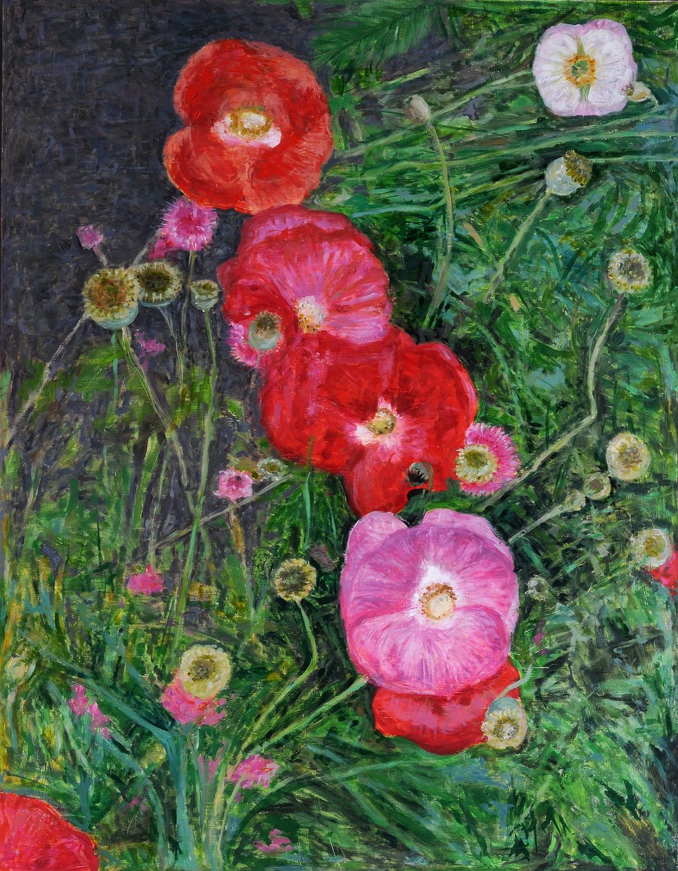 Vallmor, 2009 (olja på trä) av Ruth Addinall