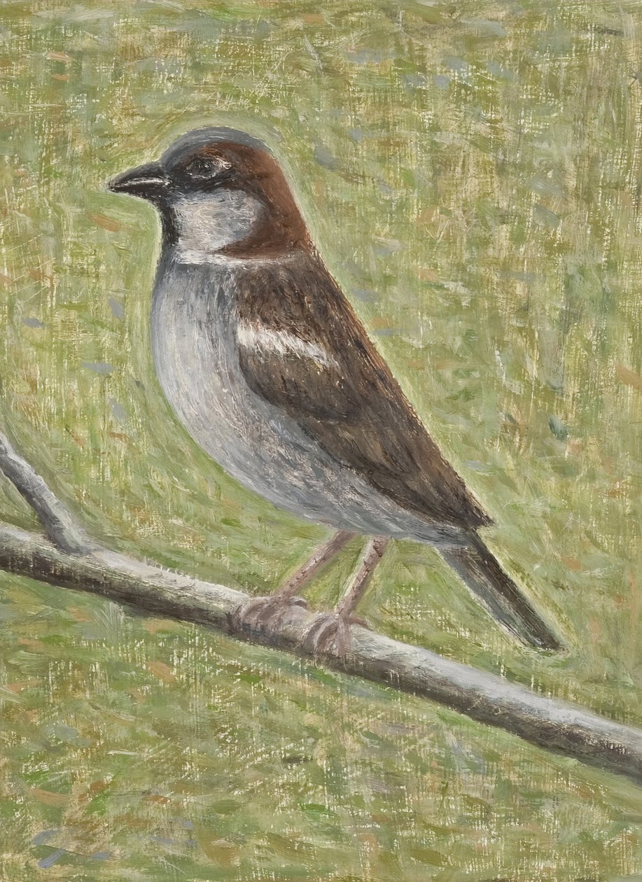 Hussparv, 2008 (olja på trä) av Ruth Addinall