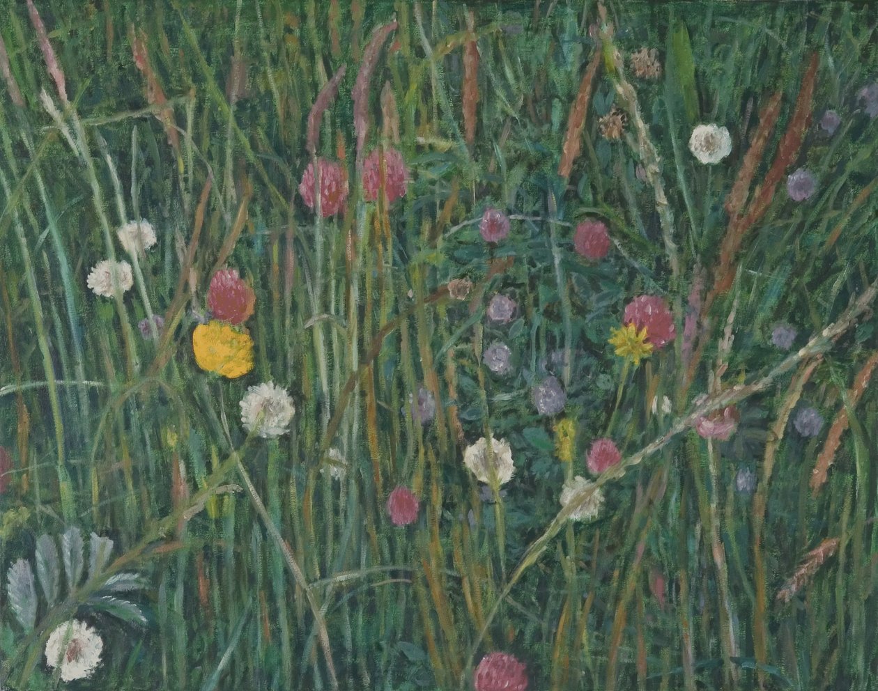 Plants of the Machair, 2008 av Ruth Addinall