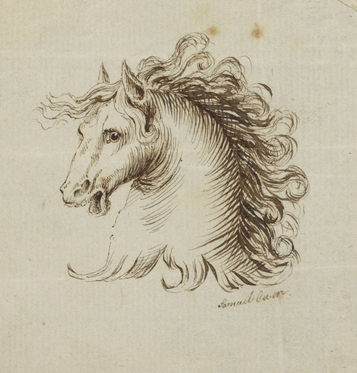 (Head of a Horse) av Samuel H. Owen