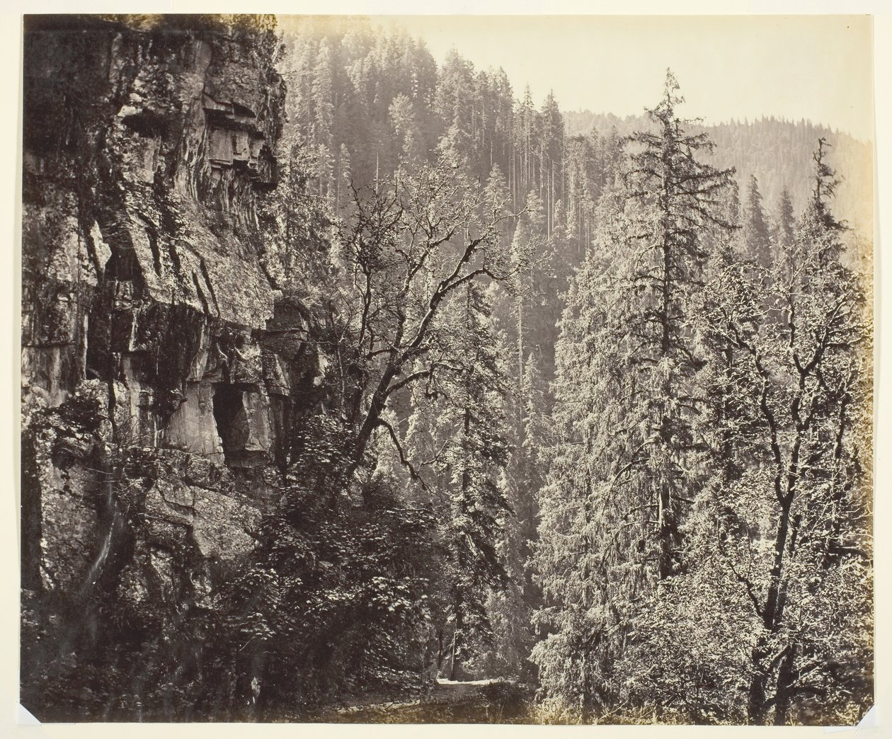 Utan titel [klippor och träd], c. 1865. av Samuel Bourne