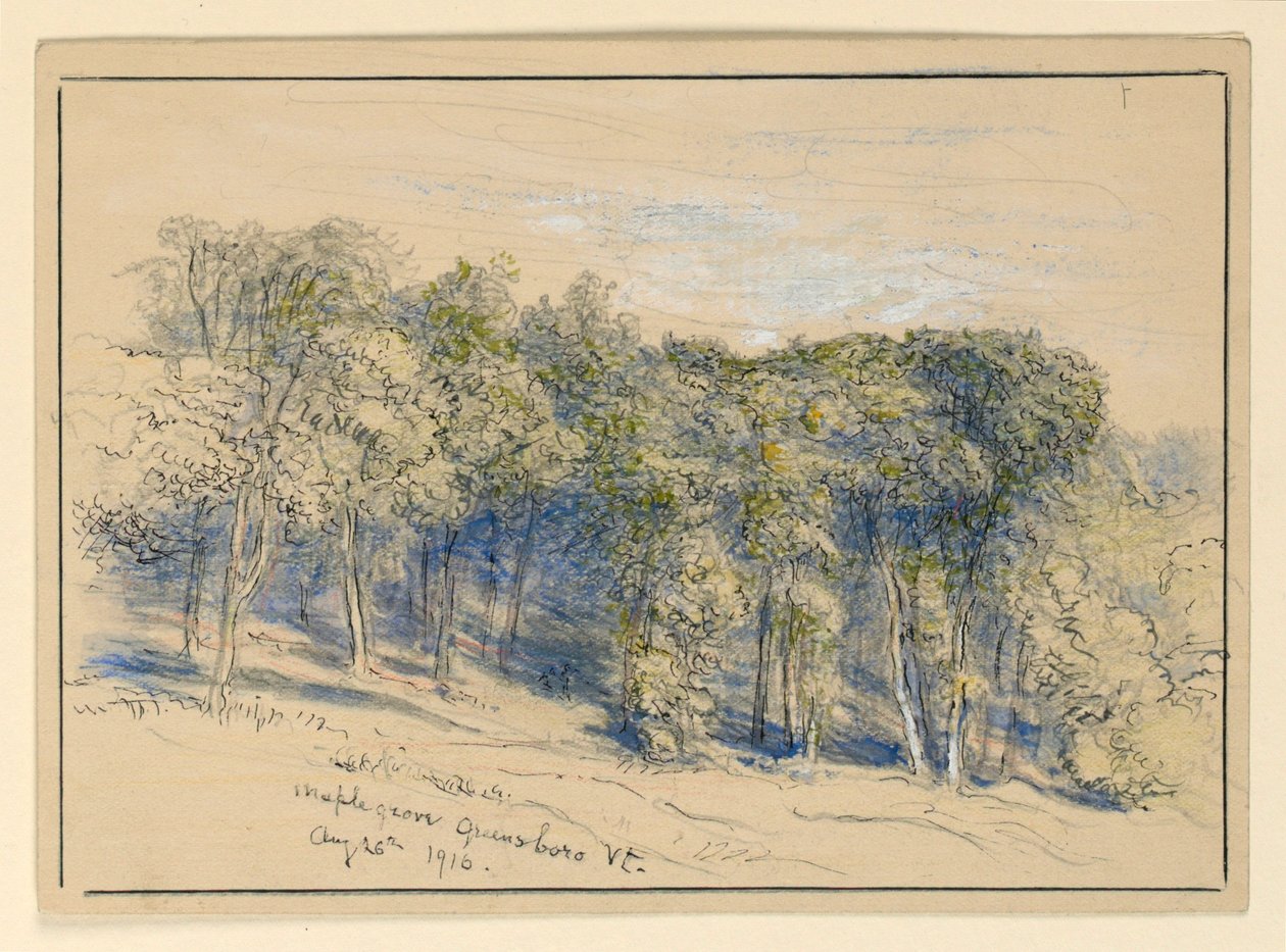 Studie av Maple Grove, Greensboro, Vermont av Samuel Colman