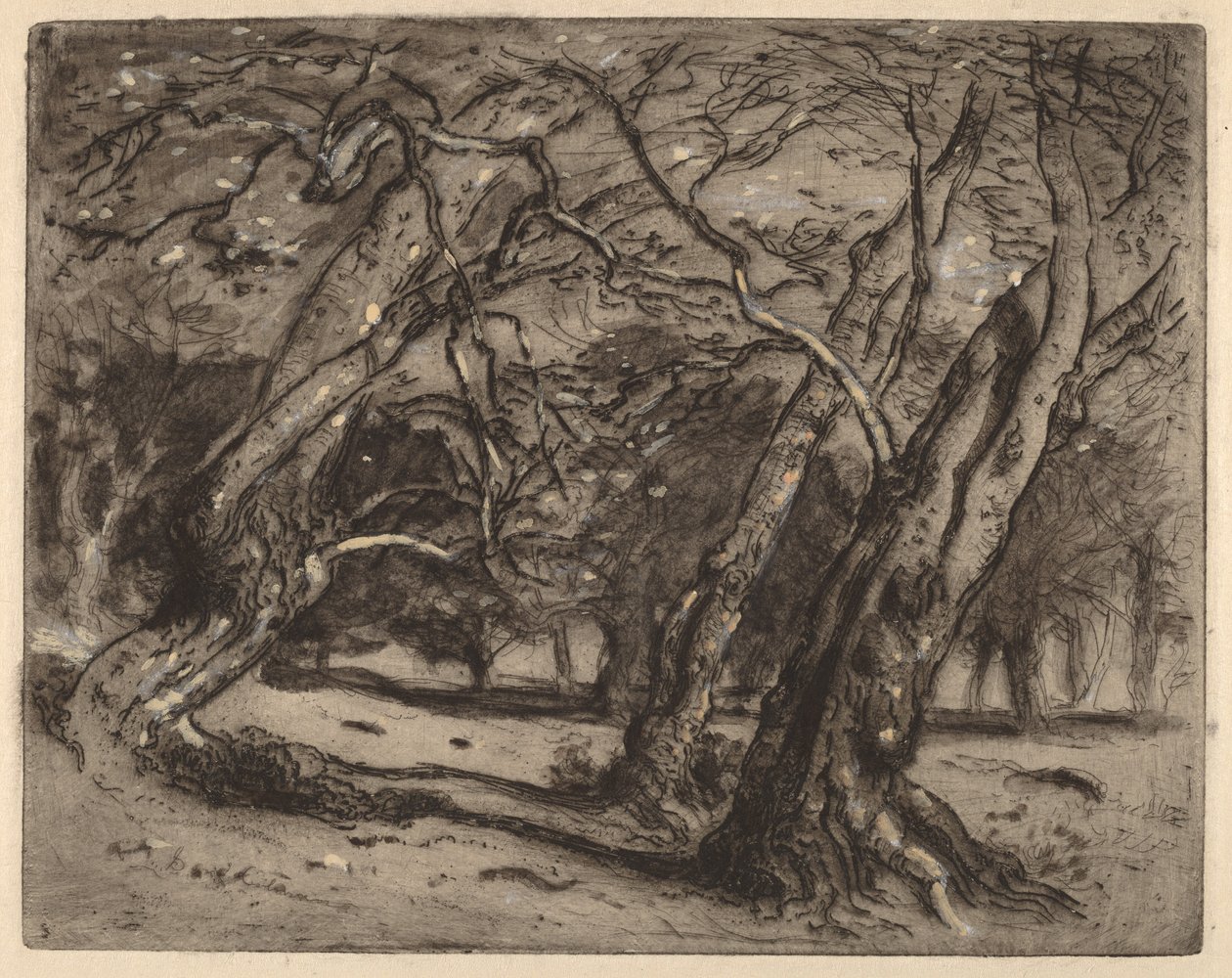Namnlös (skogsbevuxen landskap) av Samuel Colman