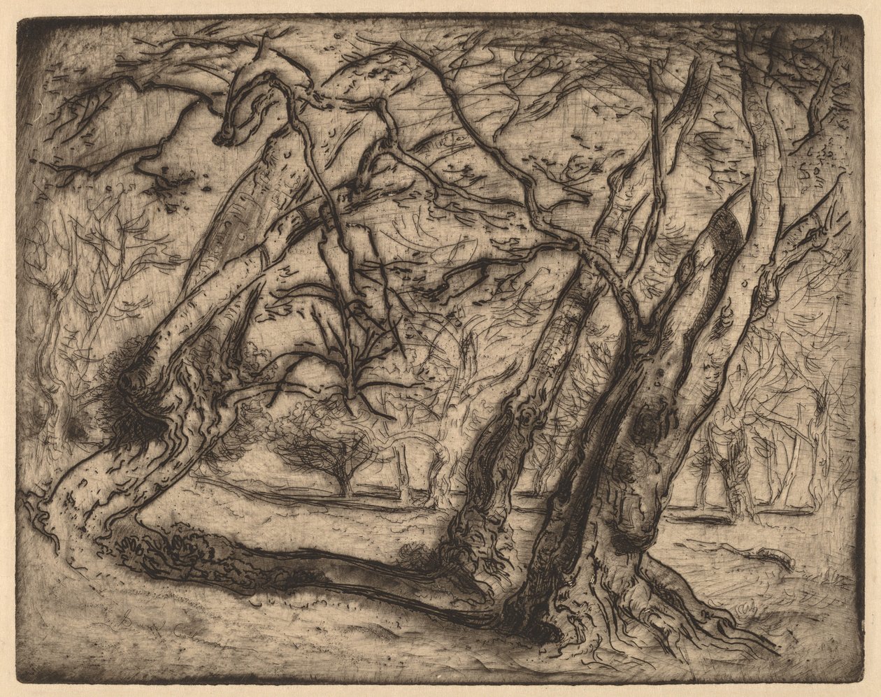 Namnlös (skogsbevuxen landskap) av Samuel Colman