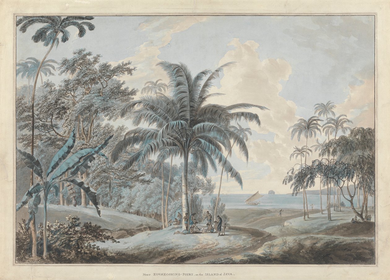 Nära Eucheconing Point, Java av Samuel Daniell
