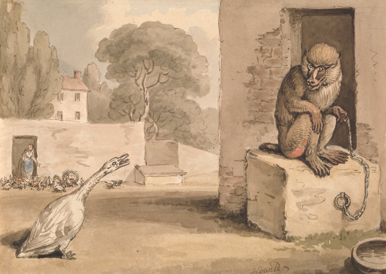 En gås och en babian av Samuel Howitt