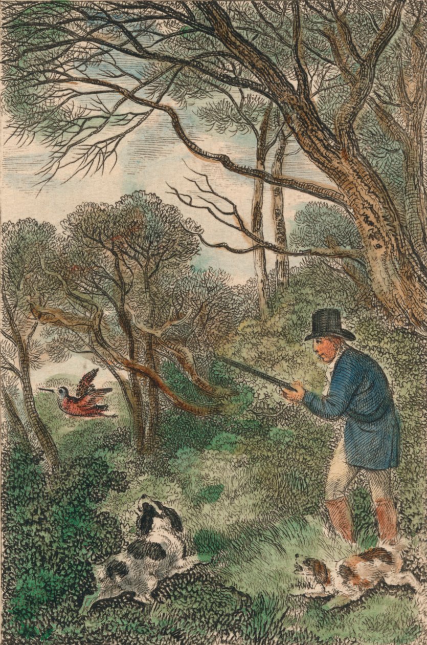 Woodcock Shooting, 1819. av Samuel Howitt