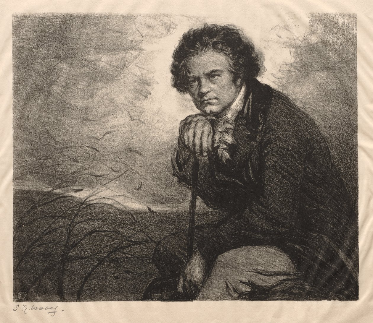 Beethoven av Samuel Johnson Woolf