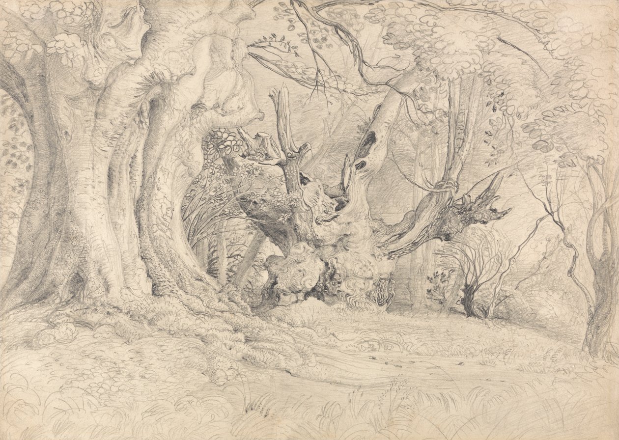 Forntida träd, Lullingstone Park av Samuel Palmer