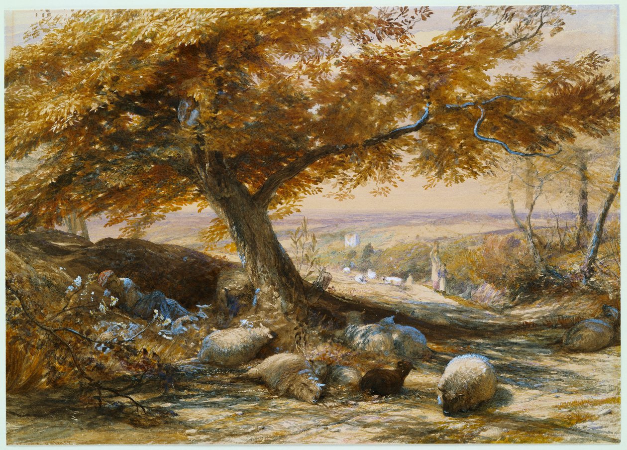 Får i skuggan, ca 1851 av Samuel Palmer