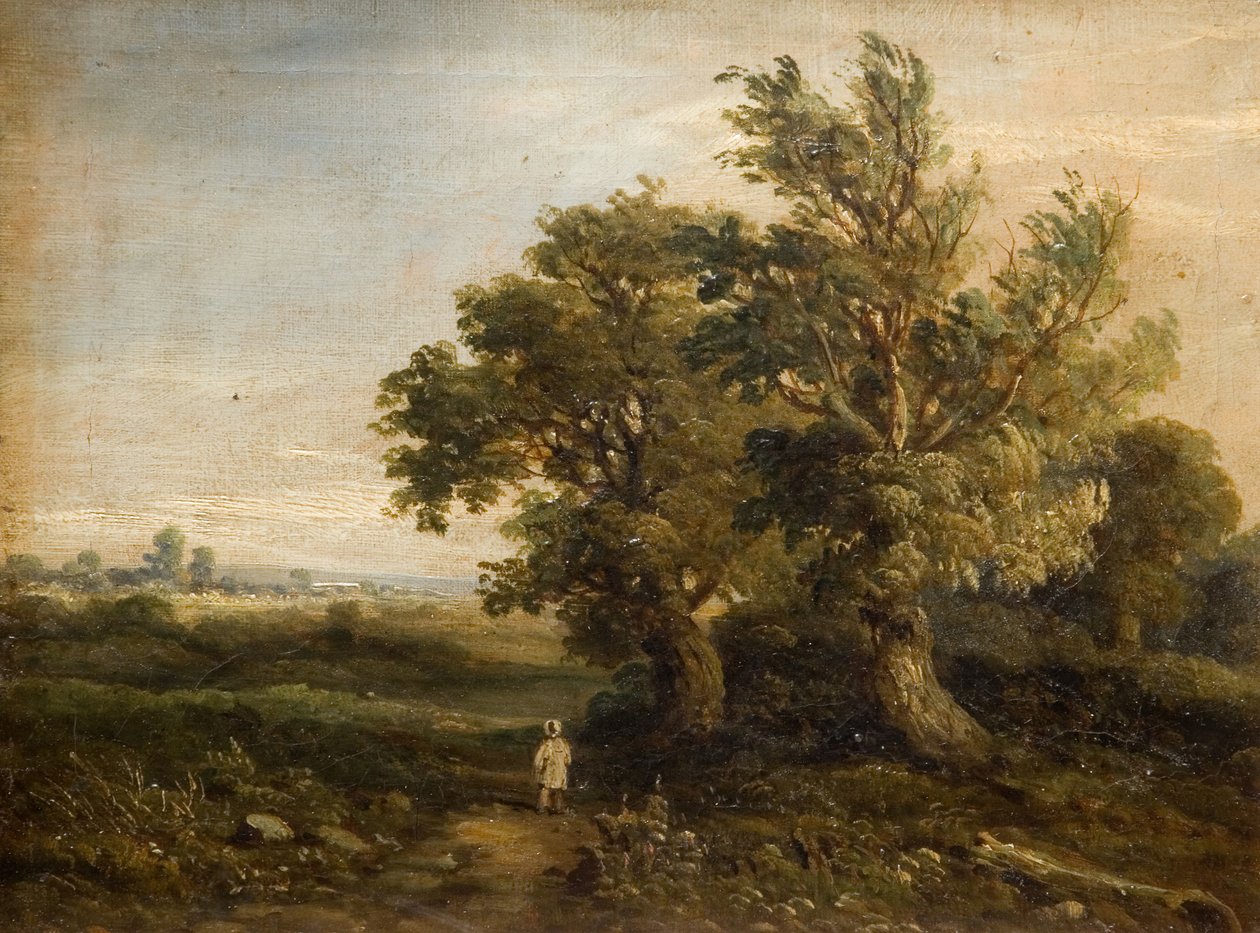 Landskap med träd, 1863. av Samuel Restell Lines