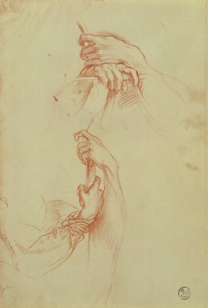 Två studier av en ung mans händer (rödkrita) av Sandro Botticelli