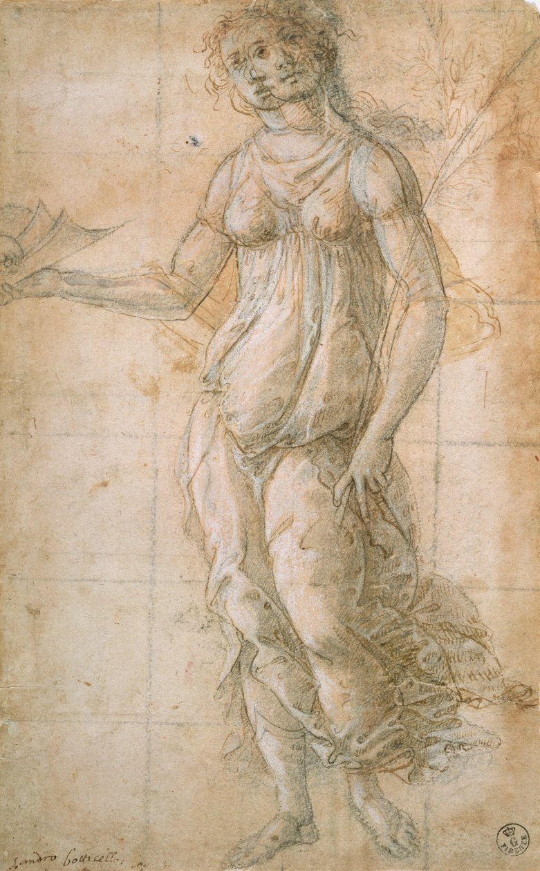 Studie av Athene (teckning) av Sandro Botticelli