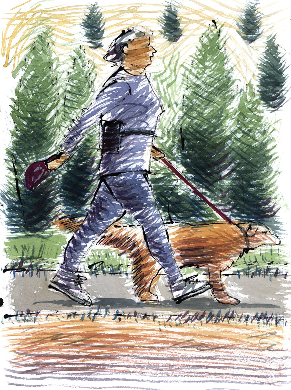 Walking the Dog, 2009 (akryl) av Sara Hayward