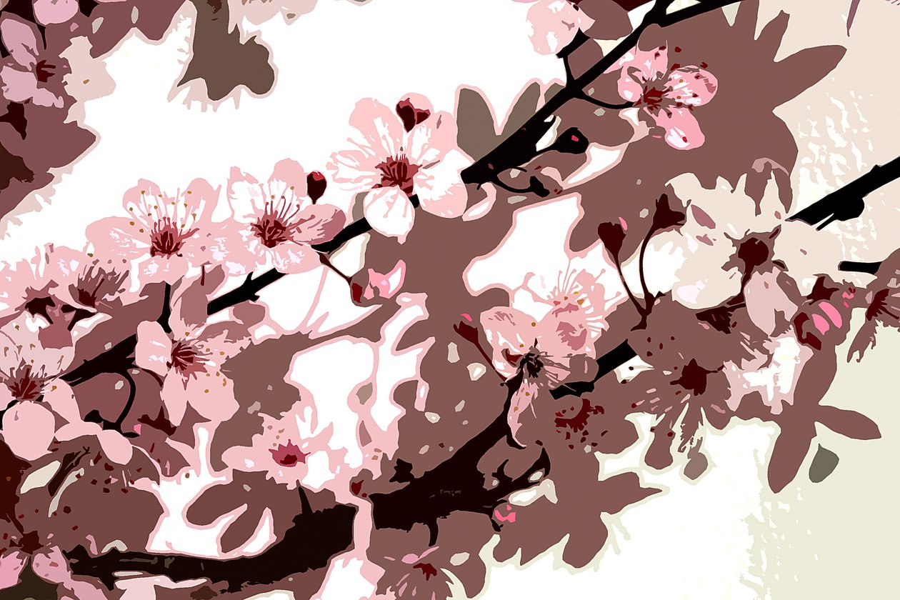Japanese Blossom  av Sarah OToole
