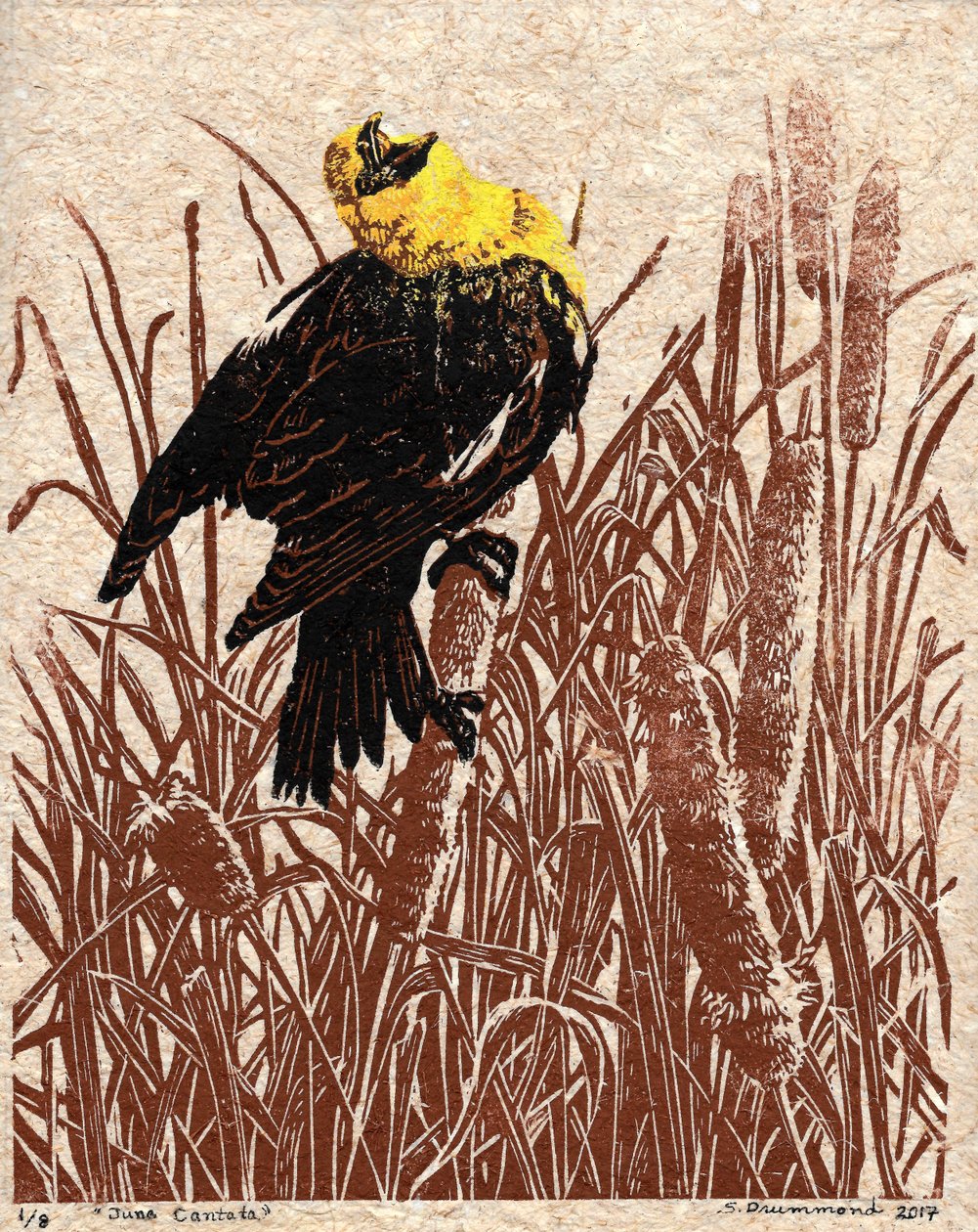 Cattail Cantata, 2017 (linoleumsnitt) av Sarah Drummond