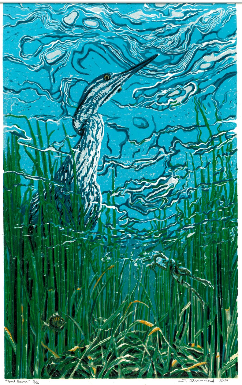 Pond Gazer, 2024 (Linoleumsnitt) av Sarah Drummond