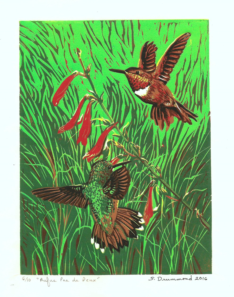 Rufus Pas de Deux, 2016 (Linoleumsnitt ) av Sarah Drummond