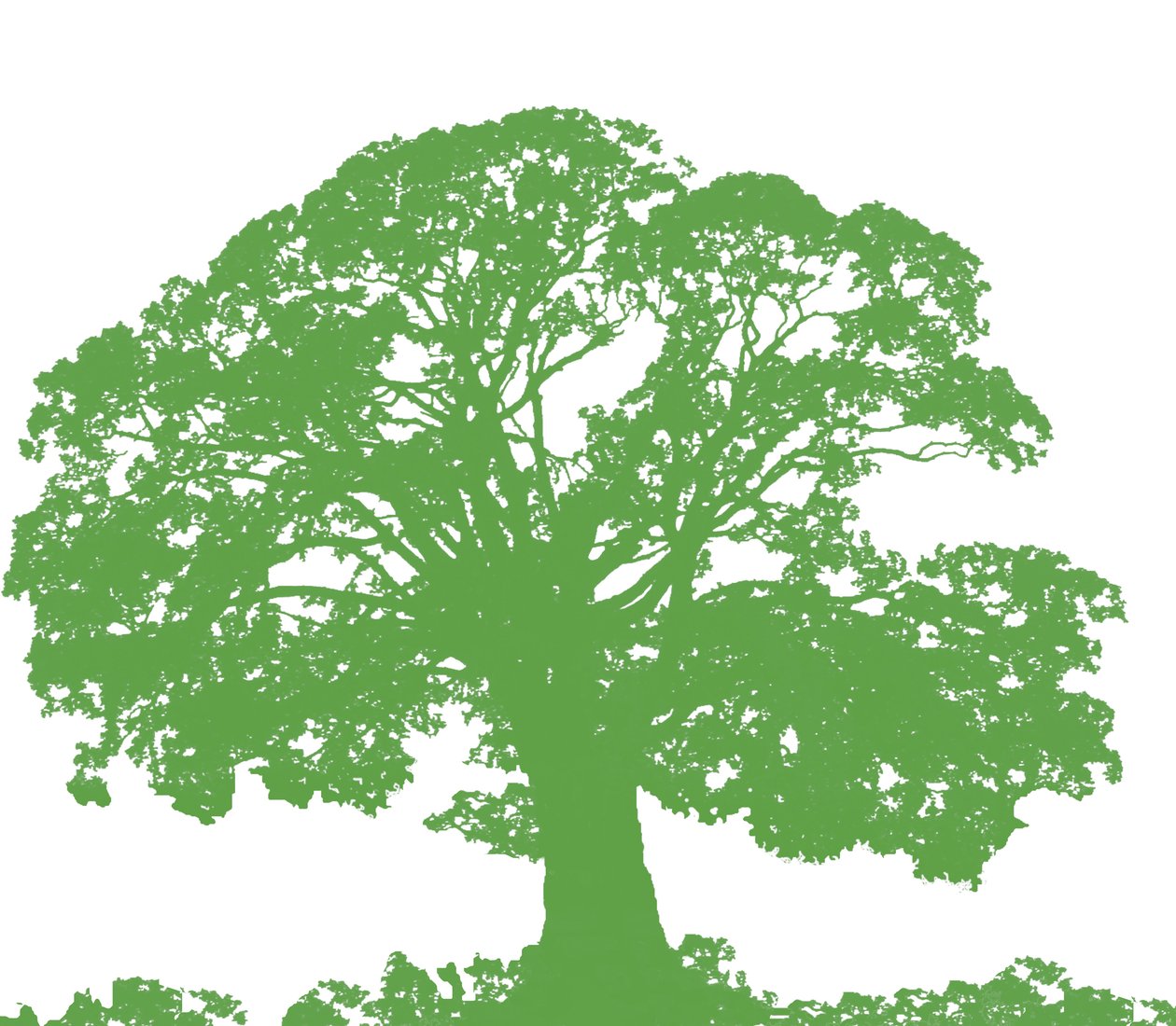 Climbing Tree, 2009 (digitalt) av Sarah Hough